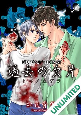 Pieces of The Past (Yaoi Manga) Vol. 1